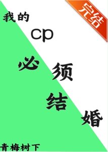 (文野同人)我的cp必須結婚